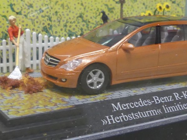 1/87 Busch MB R-Klasse Herbststurm Diorama 49701